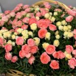 Как выбрать идеальный букет для каждого случая