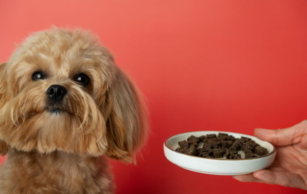 Корма для собак Royal Canin: сбалансированное питание для вашего питомца