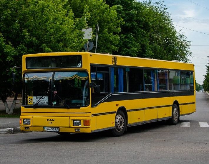 Автобус №81 в Олександрії: Розклад, схема, вартість