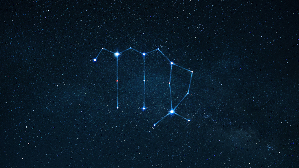 Гороскоп для Девы на январь 2026: порядок в делах и четкие цели