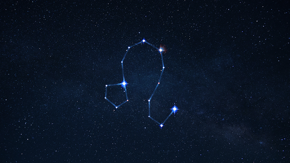 Гороскоп для Льва на январь 2026: творческий импульс и приятные события