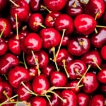 Колоновидная черешня — компактное чудо для каждого сада