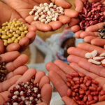 Магазин семян: как выбрать посевной материал без сюрпризов