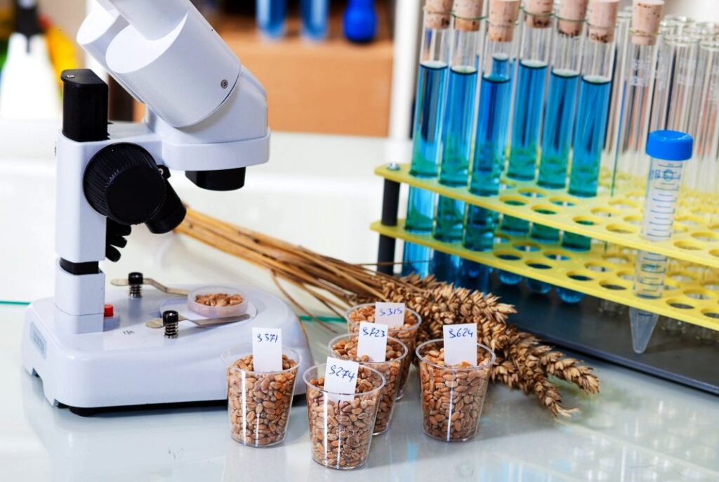 Правила отбора зерновых проб для лабораторного анализа