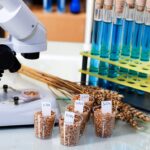 Правила отбора зерновых проб для лабораторного анализа