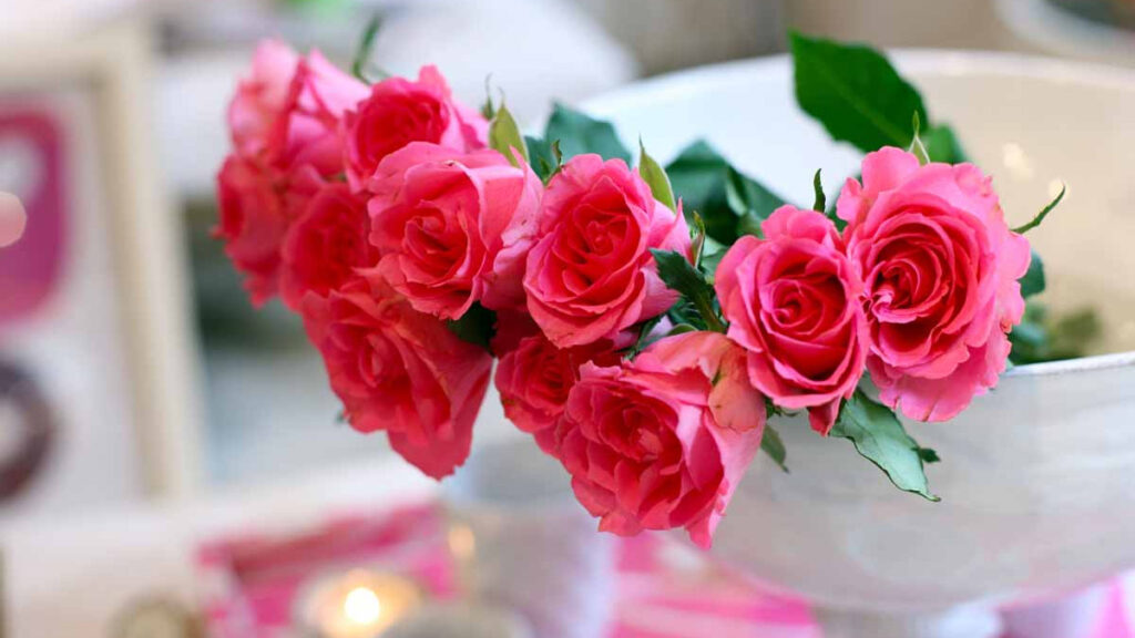 Як зберегти рози у вазі: ефективні поради для тривалого збереження свіжості